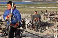 World & Travel: Life of Siberian reindeer herders, Yamal, Russia.