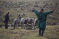 World & Travel: Life of Siberian reindeer herders, Yamal, Russia.