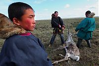 TopRq.com search results: Life of Siberian reindeer herders, Yamal, Russia.