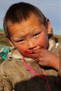 TopRq.com search results: Life of Siberian reindeer herders, Yamal, Russia.