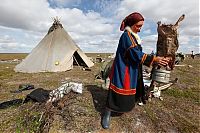 TopRq.com search results: Life of Siberian reindeer herders, Yamal, Russia.