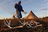 World & Travel: Life of Siberian reindeer herders, Yamal, Russia.