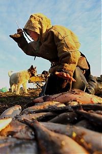 TopRq.com search results: Life of Siberian reindeer herders, Yamal, Russia.