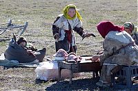 World & Travel: Life of Siberian reindeer herders, Yamal, Russia.