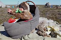 TopRq.com search results: Life of Siberian reindeer herders, Yamal, Russia.