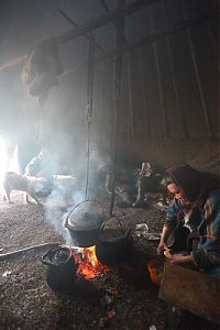 World & Travel: Life of Siberian reindeer herders, Yamal, Russia.