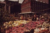 TopRq.com search results: History: Boston in the 1970s