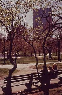 World & Travel: History: Boston in the 1970s