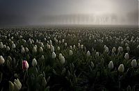 World & Travel: world travel landscape photography