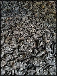 Chernobyl Nuclear Power Plant exclusion zone, Pripyat, Ivankiv Raion, Ukraine