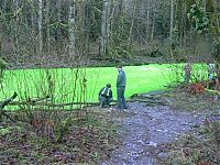 TopRq.com search results: Fluorescein dumped into Goldstream River, British Columbia, Canada