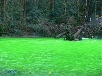 World & Travel: Fluorescein dumped into Goldstream River, British Columbia, Canada