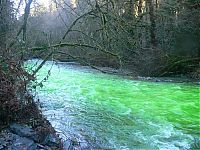 World & Travel: Fluorescein dumped into Goldstream River, British Columbia, Canada