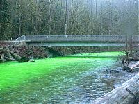 World & Travel: Fluorescein dumped into Goldstream River, British Columbia, Canada