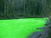 TopRq.com search results: Fluorescein dumped into Goldstream River, British Columbia, Canada