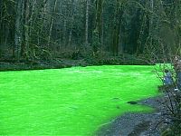 TopRq.com search results: Fluorescein dumped into Goldstream River, British Columbia, Canada