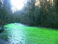 World & Travel: Fluorescein dumped into Goldstream River, British Columbia, Canada