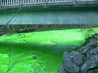 TopRq.com search results: Fluorescein dumped into Goldstream River, British Columbia, Canada