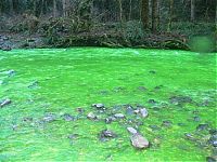 TopRq.com search results: Fluorescein dumped into Goldstream River, British Columbia, Canada