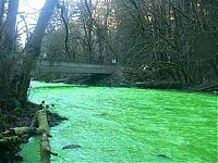 World & Travel: Fluorescein dumped into Goldstream River, British Columbia, Canada