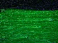 TopRq.com search results: Fluorescein dumped into Goldstream River, British Columbia, Canada