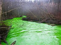 World & Travel: Fluorescein dumped into Goldstream River, British Columbia, Canada