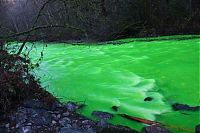 TopRq.com search results: Fluorescein dumped into Goldstream River, British Columbia, Canada