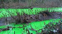 TopRq.com search results: Fluorescein dumped into Goldstream River, British Columbia, Canada