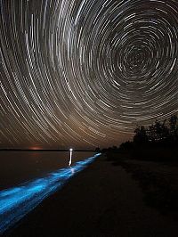 World & Travel: Noctiluca scintillans, Gippsland Lakes, Vistoria, Australia