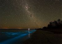 TopRq.com search results: Noctiluca scintillans, Gippsland Lakes, Vistoria, Australia