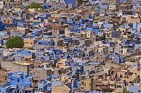 TopRq.com search results: Blue City, Jodhpur, Rajasthan, India