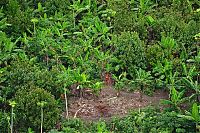 TopRq.com search results: Unknown tribe, Brazil