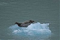 World & Travel: iceberg