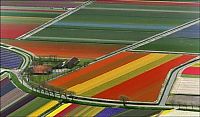 World & Travel: Tulip fields, Keukenhof, The Netherlands