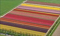 World & Travel: Tulip fields, Keukenhof, The Netherlands