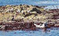 World & Travel: Staffa, island of the Inner Hebrides in Argyll and Bute, Scotland