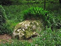 World & Travel: The Lost Gardens of Heligan, Mevagissey, United Kingdom