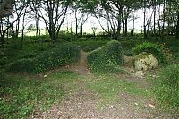 TopRq.com search results: The Lost Gardens of Heligan, Mevagissey, United Kingdom