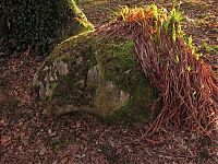 World & Travel: The Lost Gardens of Heligan, Mevagissey, United Kingdom