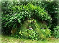 TopRq.com search results: The Lost Gardens of Heligan, Mevagissey, United Kingdom
