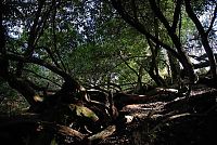 World & Travel: The Lost Gardens of Heligan, Mevagissey, United Kingdom