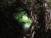 World & Travel: The Lost Gardens of Heligan, Mevagissey, United Kingdom