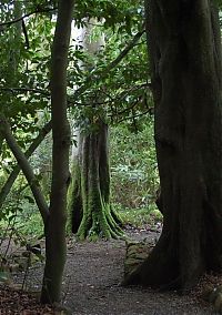 TopRq.com search results: The Lost Gardens of Heligan, Mevagissey, United Kingdom