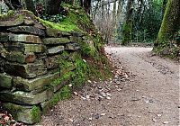 TopRq.com search results: The Lost Gardens of Heligan, Mevagissey, United Kingdom