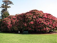 TopRq.com search results: The Lost Gardens of Heligan, Mevagissey, United Kingdom