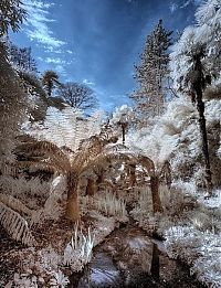 TopRq.com search results: The Lost Gardens of Heligan, Mevagissey, United Kingdom