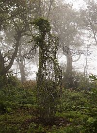 World & Travel: The Lost Gardens of Heligan, Mevagissey, United Kingdom