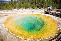 TopRq.com search results: Morning glory spring, Yellowstone National Park, United States