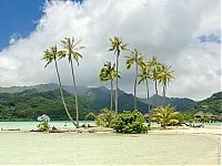 TopRq.com search results: Heaven on earth, French Polynesia