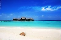 TopRq.com search results: Heaven on earth, French Polynesia